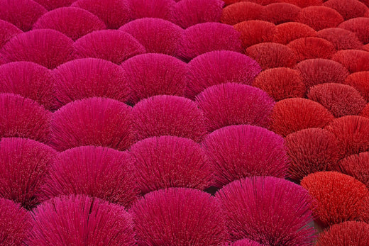 Pink and red shrubs perfectly aligned