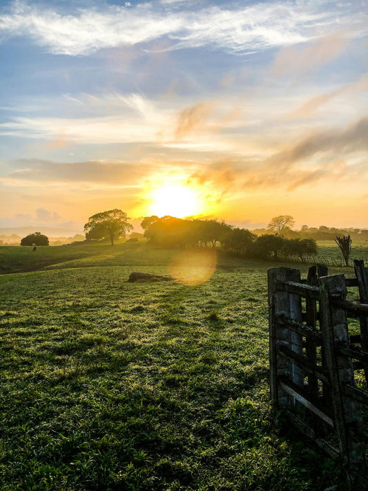 Sunset from a field