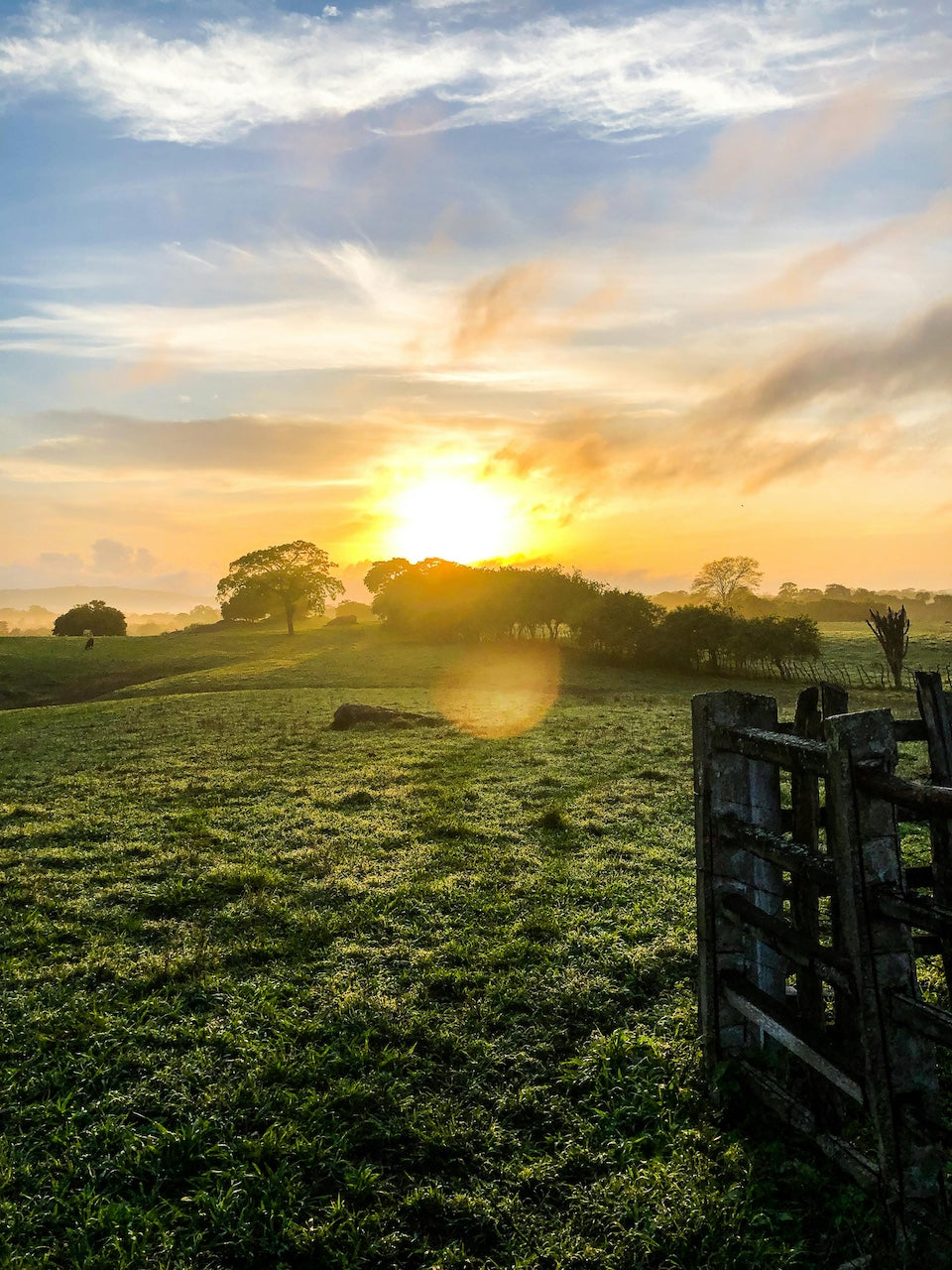 Sunrise over grassy hills