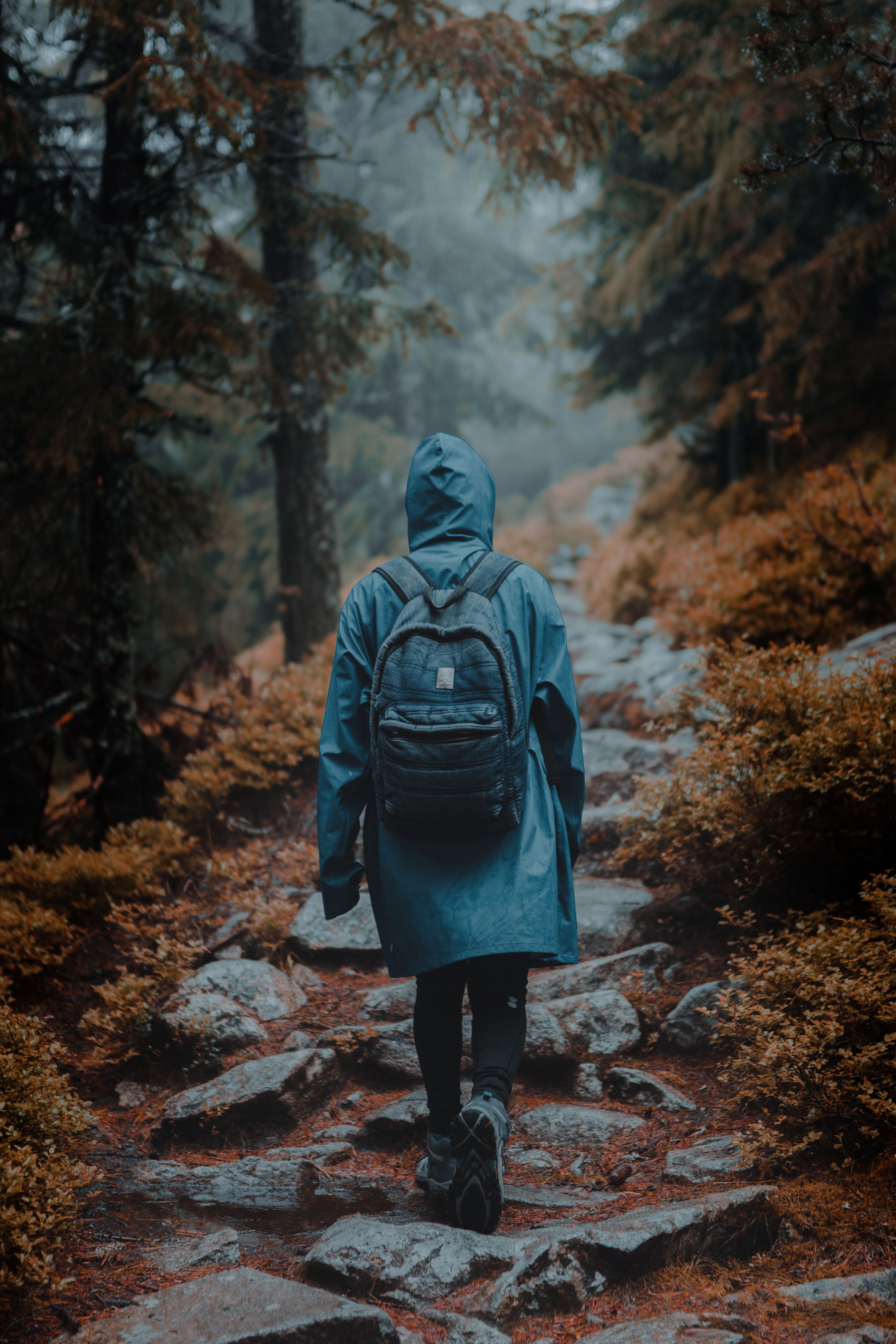 The What the Hell Effect: How Small Setbacks Derail Big Goals