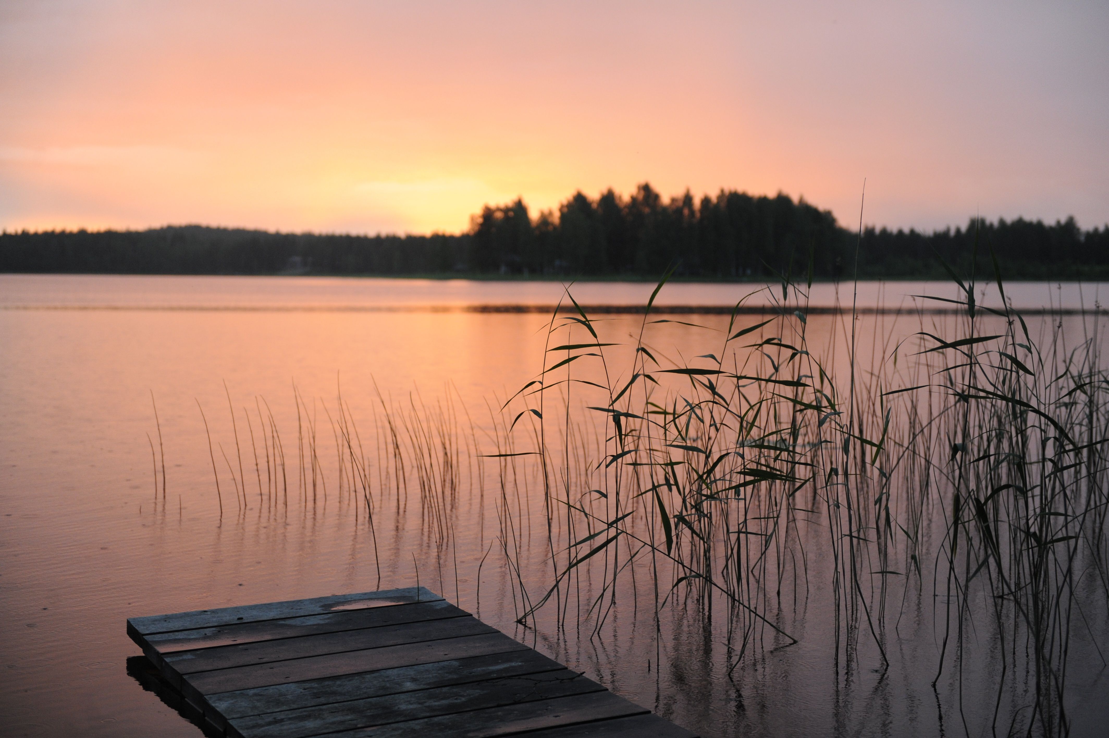 Peaceful sunset view over a lake with a wooden pier and reeds, capturing tranquility and nature's beauty